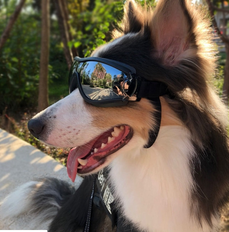 Dog Goggles – UV Protective Pet Glasses Waterproof & Windproof