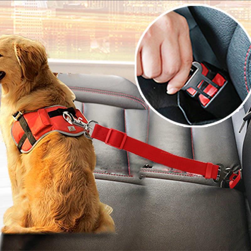 Dog Leash – Retractable Traction Rope for Walking & Car Safety