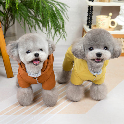Dog Clothing – Fashion Autumn & Winter Pet Outfit