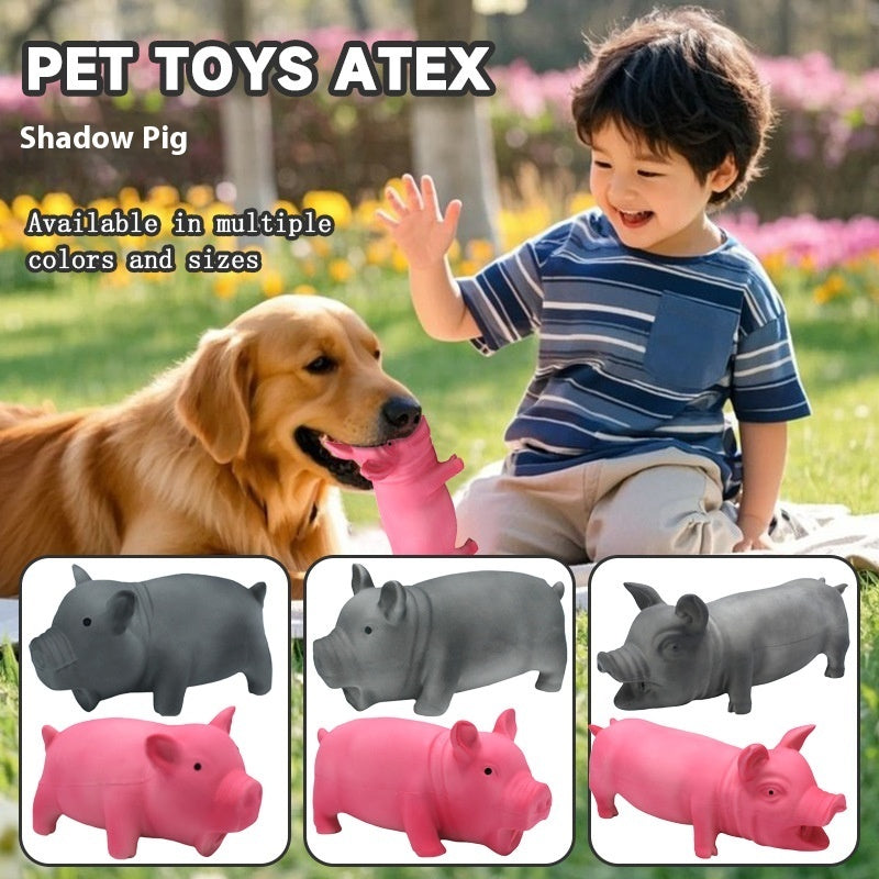 Dog Molar Toy – Long Lasting Chew Toy for Small, Medium & Large Dogs