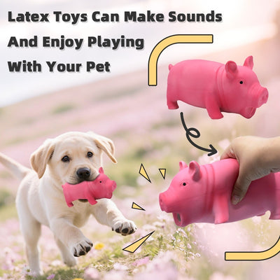 Dog Molar Toy – Long Lasting Chew Toy for Small, Medium & Large Dogs