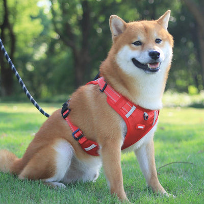 Dog Harness – No Pull Reflective Nylon Pet Vest for Training & Walking