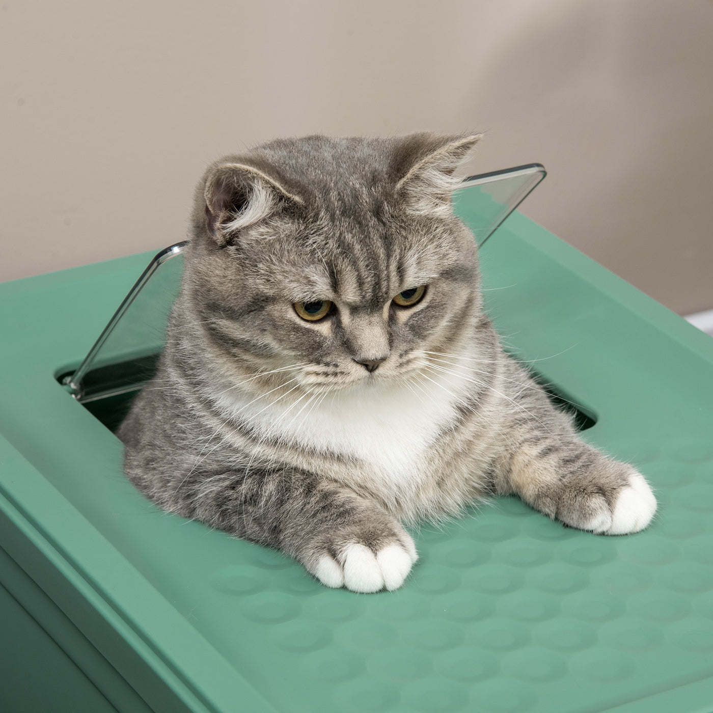 Cat Litter Box – Fully Enclosed Portable Pet Toilet with Scoop