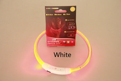Dog Safety Collar – USB Rechargeable LED Light Up Collar for Night Walking