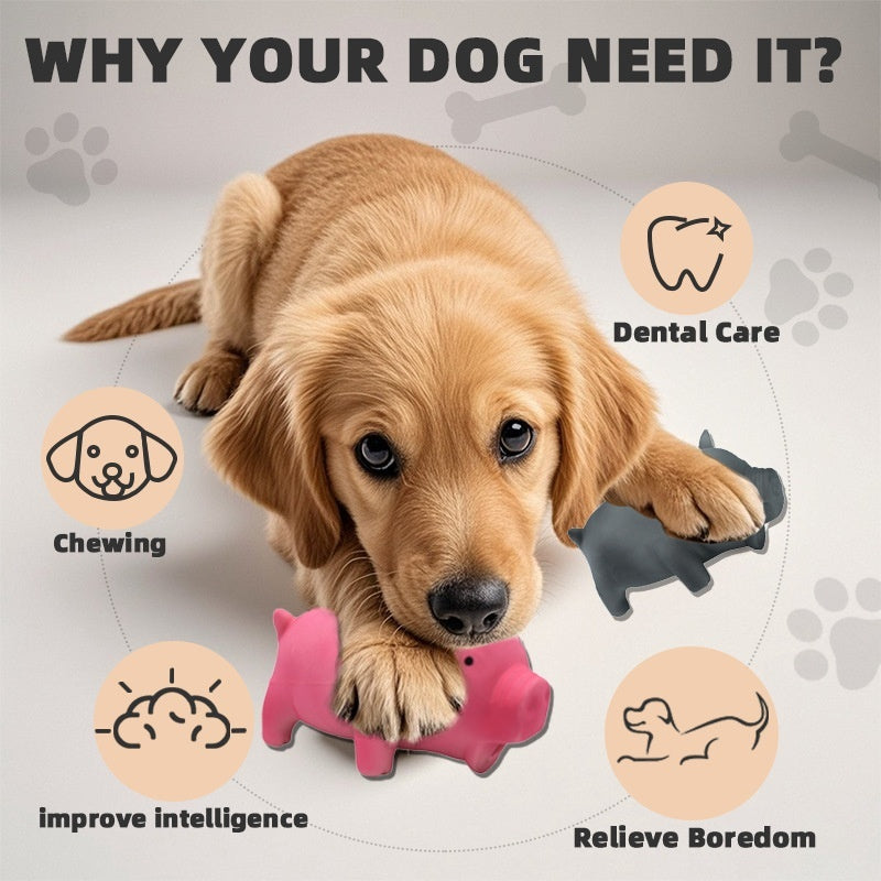 Dog Molar Toy – Long Lasting Chew Toy for Small, Medium & Large Dogs