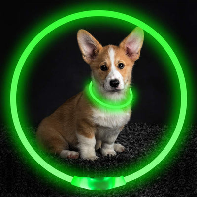 Dog Safety Collar – USB Rechargeable LED Light Up Collar for Night Walking
