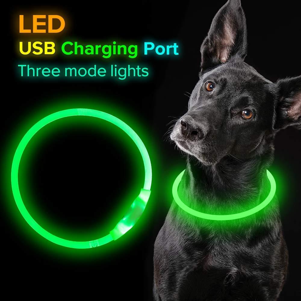 Dog Safety Collar – USB Rechargeable LED Light Up Collar for Night Walking