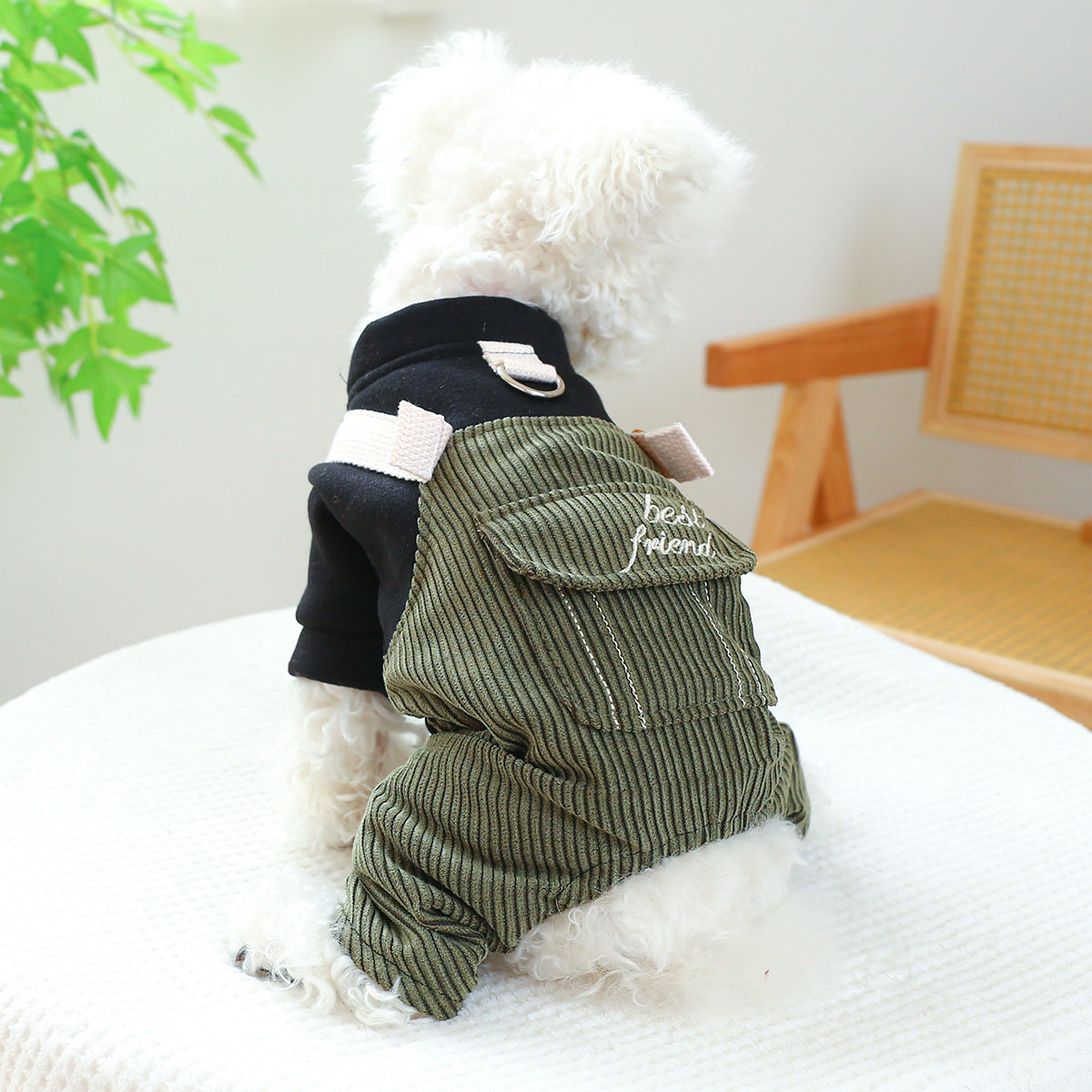 Pet Clothes – Corduroy Dog & Cat Outfit