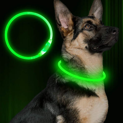 Dog Safety Collar – USB Rechargeable LED Light Up Collar for Night Walking