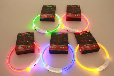 Dog Safety Collar – USB Rechargeable LED Light Up Collar for Night Walking
