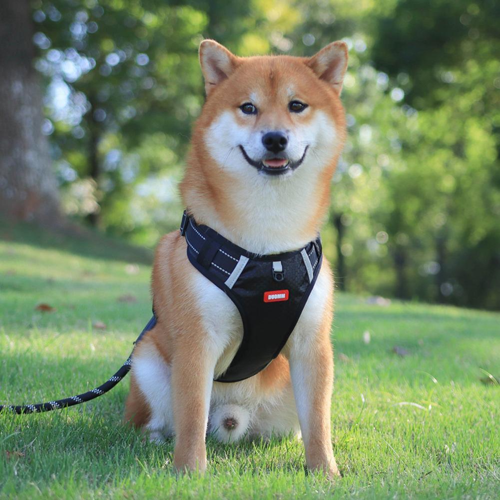 Dog Harness – No Pull Reflective Nylon Pet Vest for Training & Walking